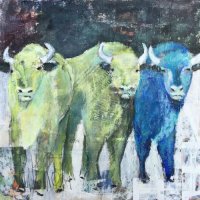 wartende Bisons