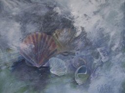 Muscheln VII, Acryl a/L, 65x65cm